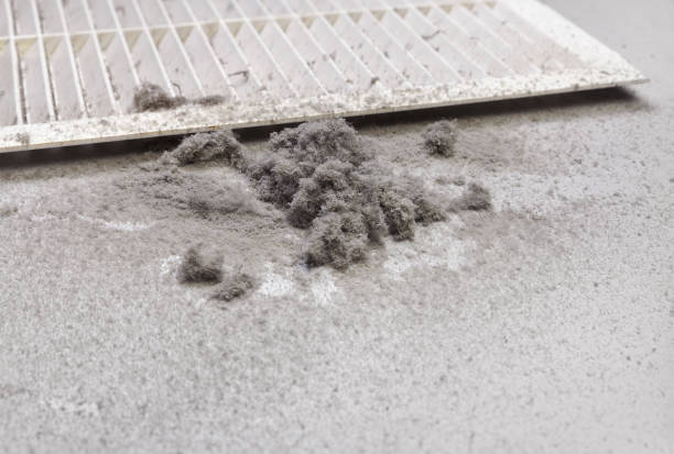 Best HVAC Duct Inspection Services  in West Des Moines, IA
