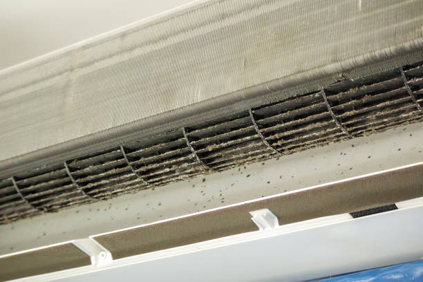 Best HVAC Air Duct Cleaning  in West Des Moines, IA